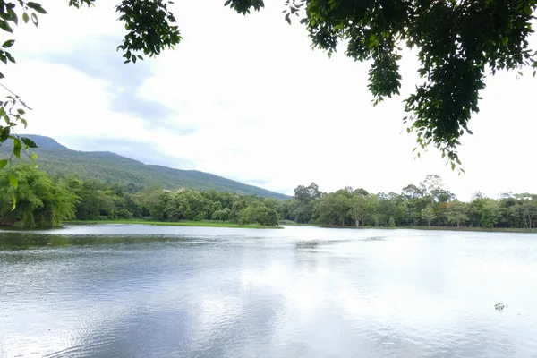 Blick auf den Berg und den Teich — Stockfoto