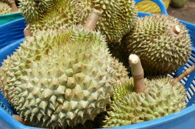durian meyve Satılık yığını