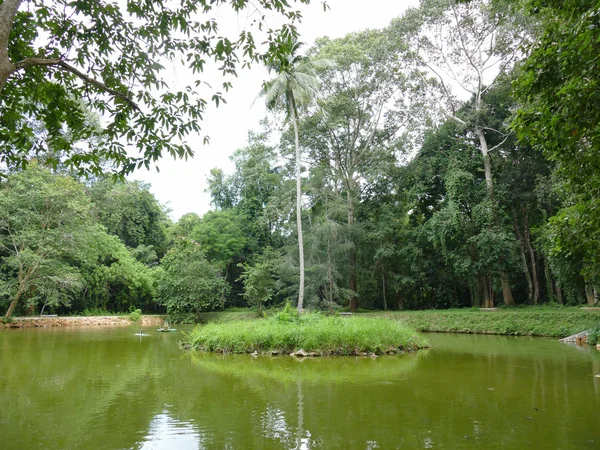 Pulau di tengah-tengah kolam — Stok Foto