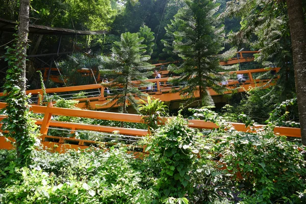 tepeye gitmek için yolu üzerinde yürüyen insanlar 