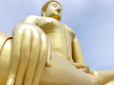 büyük altın buddha heykeli