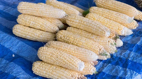 Kukuřice na prodej na místním trhu — Stock fotografie