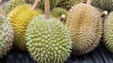 Durian meyve yerel pazarda Satılık