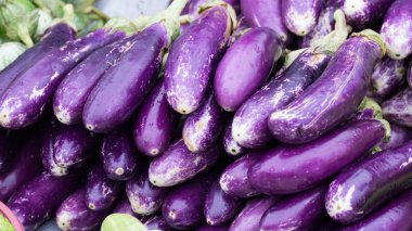 içinde belgili tanımlık çarşı Satılık mor patlıcan