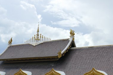 Asya Tapınağı çatı