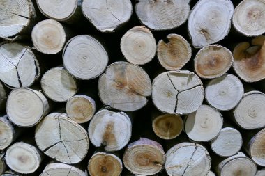 arka plan doku için günlük yüzey