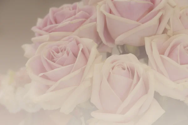 一堆粉红色的玫瑰与软焦点和彩色滤光片 — 图库照片