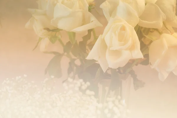 Ramo de rosa blanca con enfoque suave y filtro de color —  Fotos de Stock