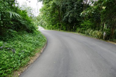 yol ve orman kırsal Tayland