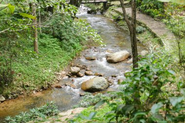 su akışı görünümünü çalıştırın kayaların arasındangeçip