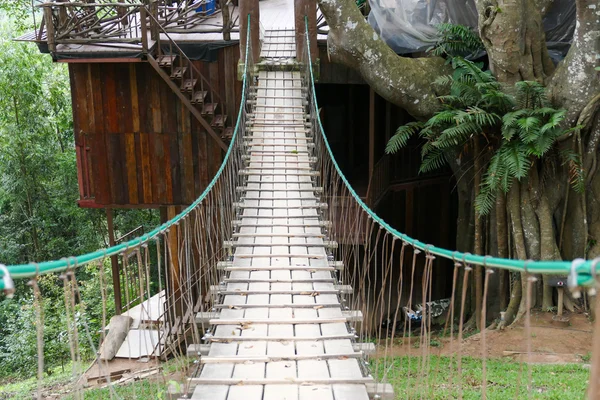 Ponte di corda pedonale attraverso la vallata — Foto Stock