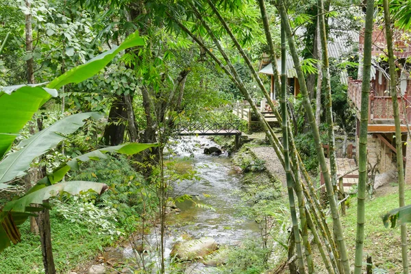 Balcony and the creek — Stock Photo, Image