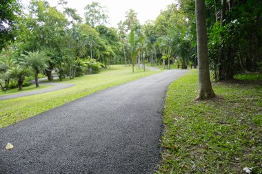 geçit ve parkta ağaç