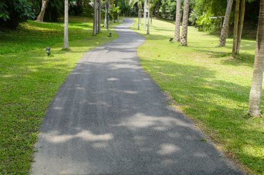 geçit ve parkta ağaç