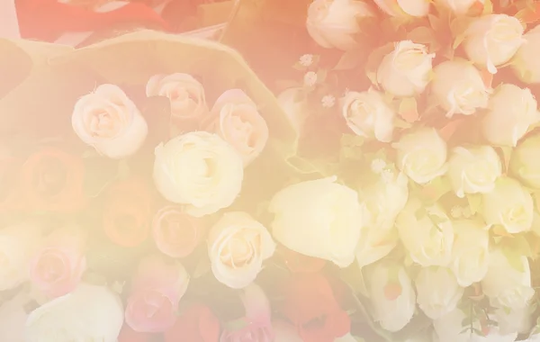 Rosa falsa (filtro de color y enfoque suave ) —  Fotos de Stock