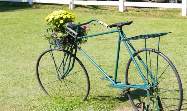 Groene fiets met bloem in de mand — Stockfoto