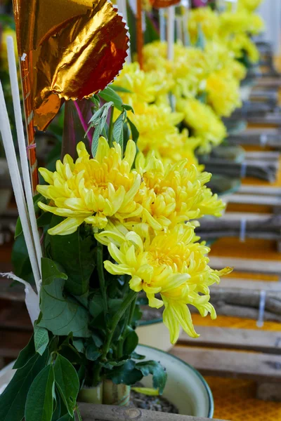 Ramo de crisantemo amarillo en una olla — Foto de Stock