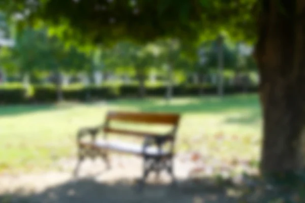 Blurry defocused image of wooden bench under big tree — Stock Photo, Image