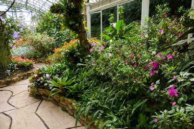 geçit ve bahçe içinde güzel çiçek