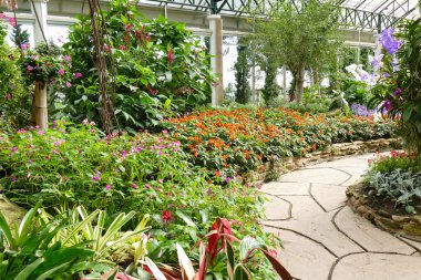 geçit ve bahçe içinde güzel çiçek