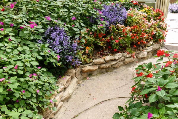 Walkway and beautiful flower in the garden — Stock Photo, Image