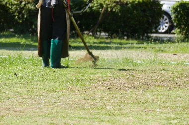 Adam çim bahçede çim kesme