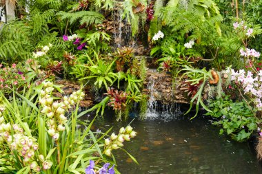 şelale ve bitki bush içinde belgili tanımlık bahçe dekorasyon