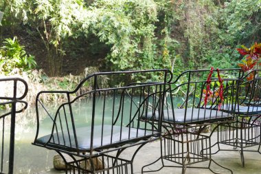 Derenin yanında siyah metal sandalye