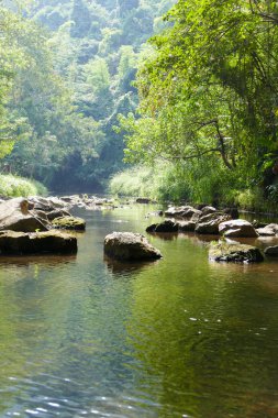 dere içinde taş görünümü 