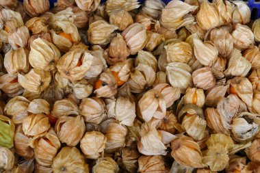 cape Bektaşi üzümü yığını