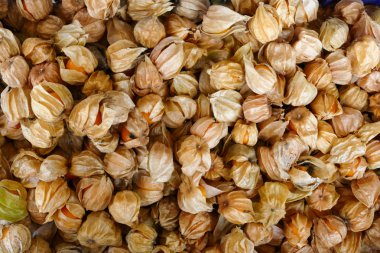 cape Bektaşi üzümü yığını