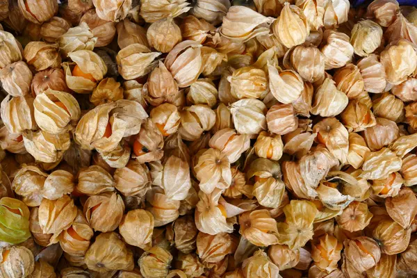 cape Bektaşi üzümü yığını