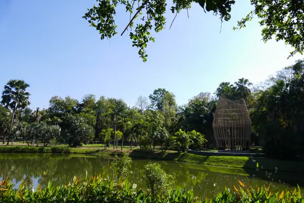 Pond in the park — Stock Photo, Image