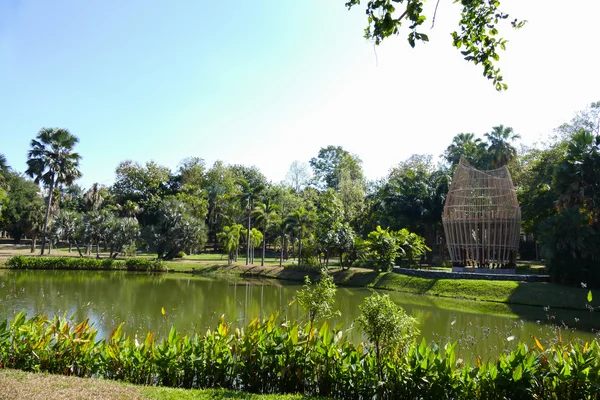 Pond in the park — Stock Photo, Image