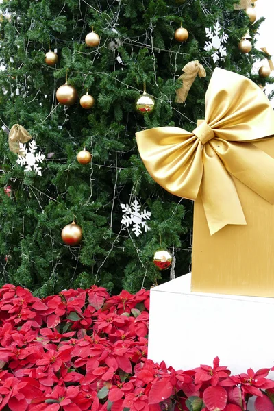 Jelen arany szalag, karácsonyfa és poinsett díszdobozban — Stock Fotó