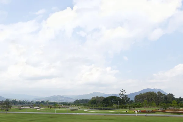 La vista del parque y la montaña en Singha Park — Foto de Stock