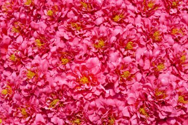 doku arka plan için pembe çiçek 