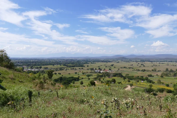 Campo de girassol em rural tailândia — Fotografia de Stock