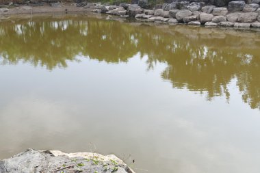 parkta gölet yüzeyinin