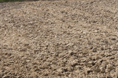 ekili tarım arazileri toprakta