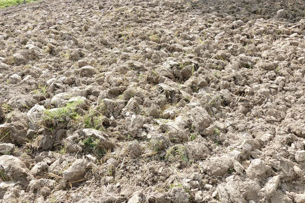 Suelo cultivado en las tierras de cultivo — Foto de Stock