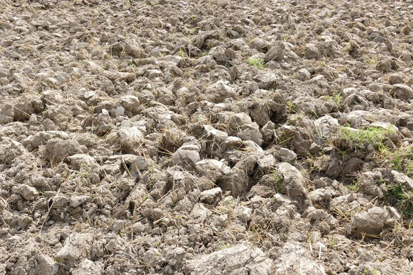 Suelo cultivado en las tierras de cultivo — Foto de Stock