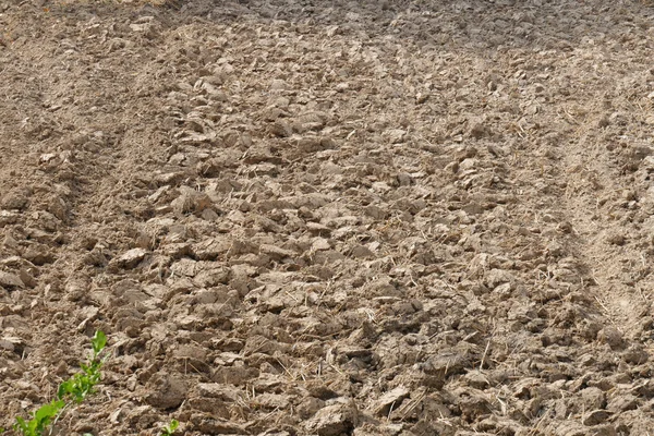 Gleby uprawne w ziemi uprawnej — Zdjęcie stockowe