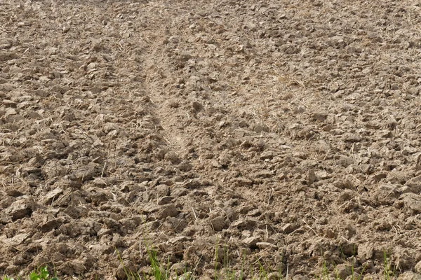 Культивируемые почвы на сельскохозяйственных угодьях — стоковое фото