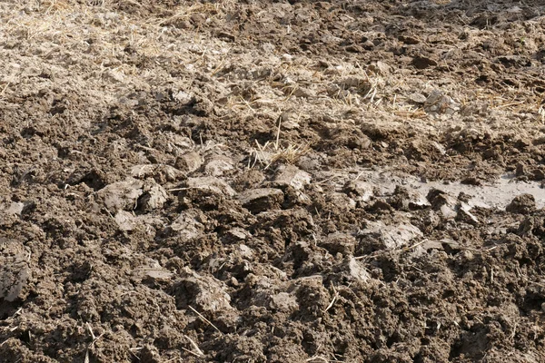 Культивируемые почвы на сельскохозяйственных угодьях — стоковое фото
