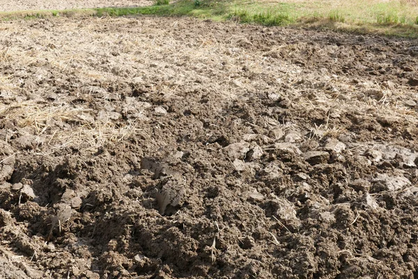 Gecultiveerde bodem in de landbouwgrond — Stockfoto