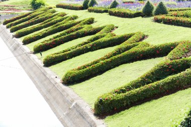 flowerbed su birikintisi yanında 