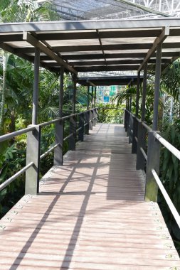 Parkta yürüyüş yolu