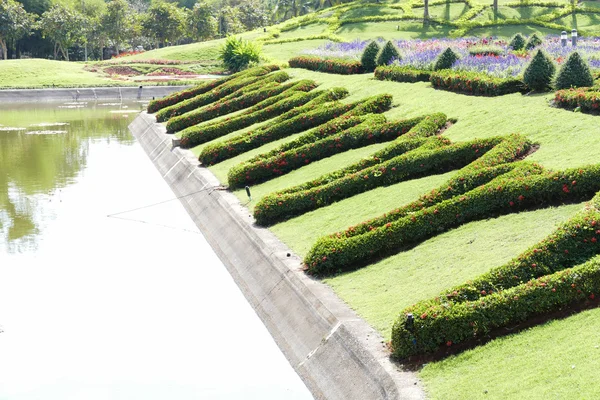 Flowerbed su birikintisi yanında — Stok fotoğraf