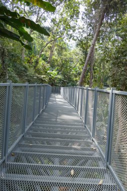 parkta gri metal geçit